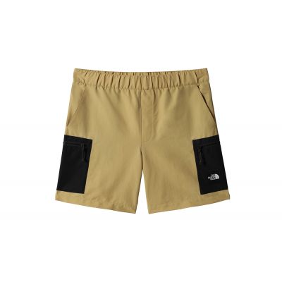 The North Face M Phlego Cargo Shorts - Brūns - Bikses
